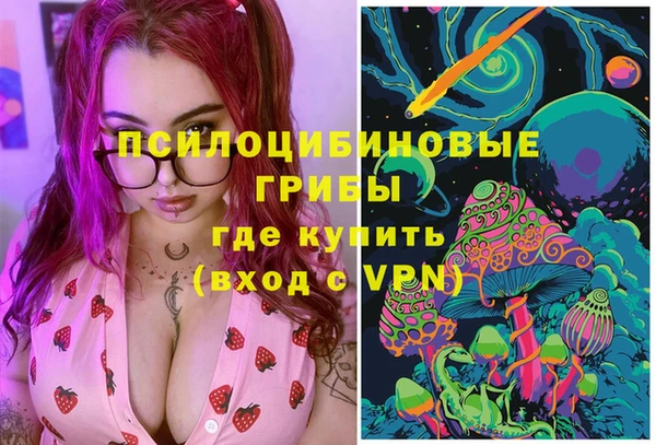 Альфа ПВП Мурманск