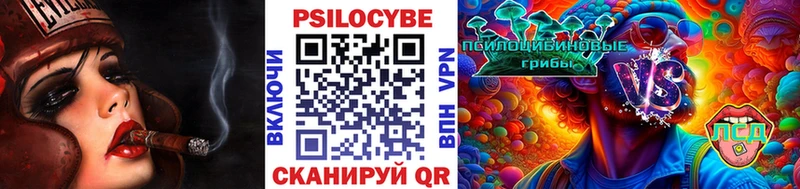 мориарти Telegram  Хвалынск  Псилоцибиновые грибы ЛСД 